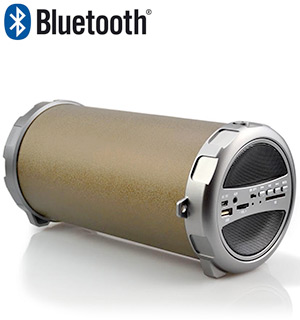 Bluetooth Indoor/Outdoor Wireless Speaker w/Subwoofer
