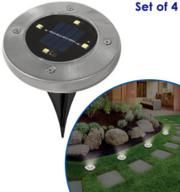 Picture 1 of LED Solar Pathway Lights - Set of 4