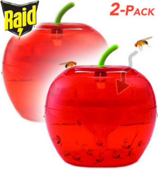 Raid Fruit Fly Traps 2 Pack Just Add Water Pulsetv 9838