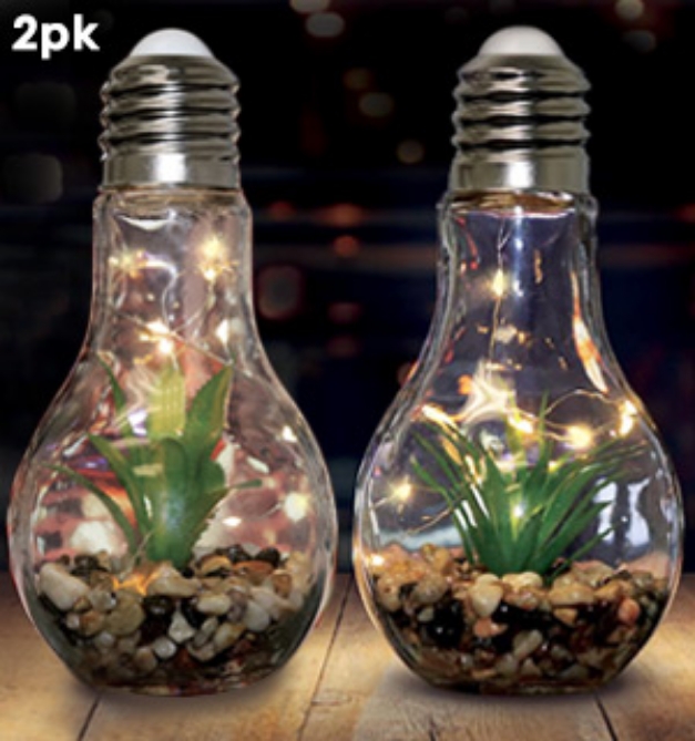 Picture 1 of Light-up Terrarium Glass Light Bulbs - Set of 2