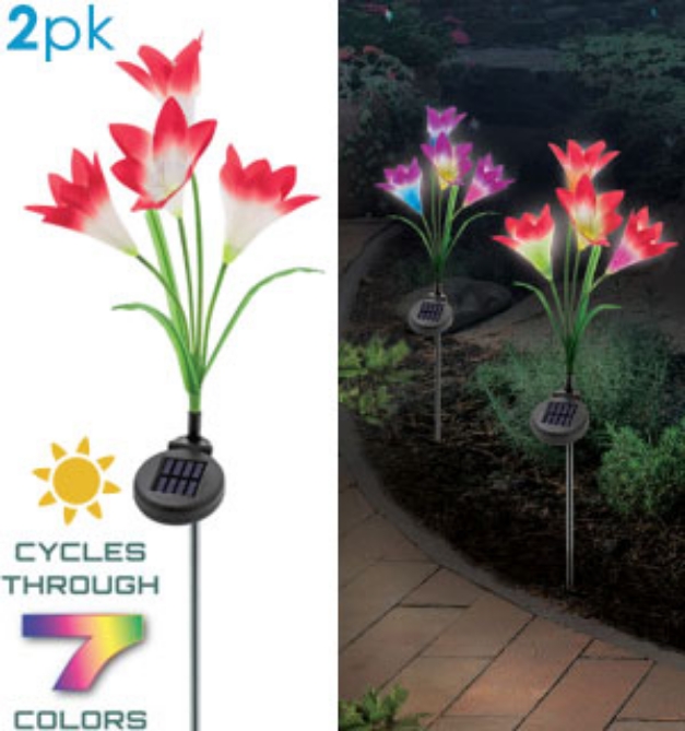 Picture 1 of Set of 2 Solar Powered, Color Changing Lily Flower Stake Lights
