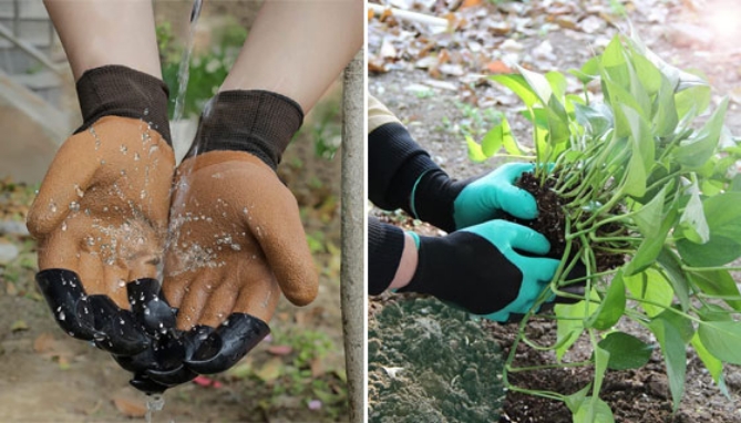 Picture 2 of 3-Pack of Assorted Gardening Gloves with Claws - Waterproof and Puncture Resistant