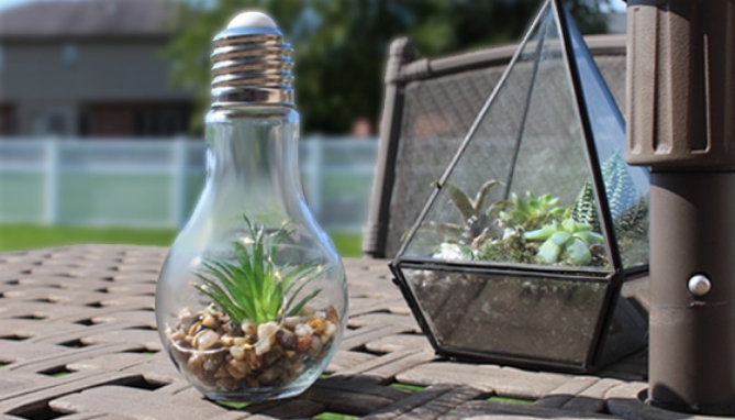 Click to view picture 3 of Light-up Terrarium Glass Light Bulbs - Set of 2