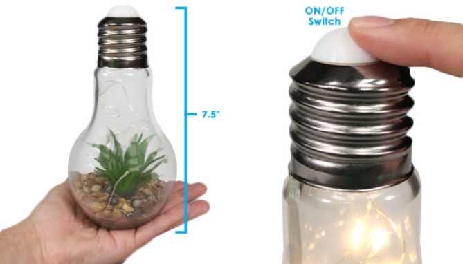 Click to view picture 4 of Light-up Terrarium Glass Light Bulbs - Set of 2