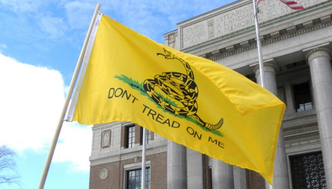 Picture 2 of Authentic 18th Century Replica of the Don't Tread On Me Flag (Gadsden Flag)