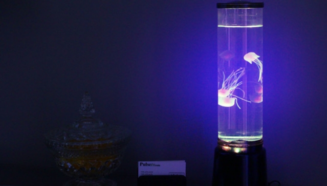 Picture 2 of The Hypnotic Tranquil Seas Jellyfish Aquarium