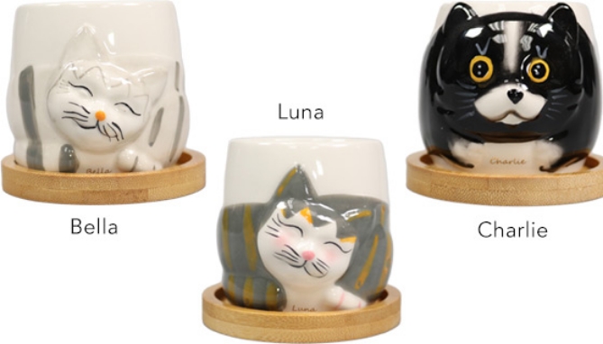 Picture 2 of Ceramic Kitty Pot Planters - Set of SIX