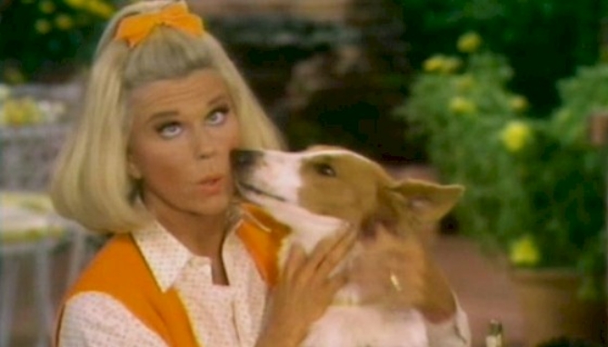 Click to view picture 3 of The Doris Day Special on DVD