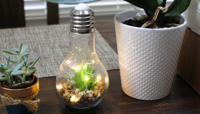 Picture 4 of Light-up Terrarium Glass Light Bulbs - Set of 2