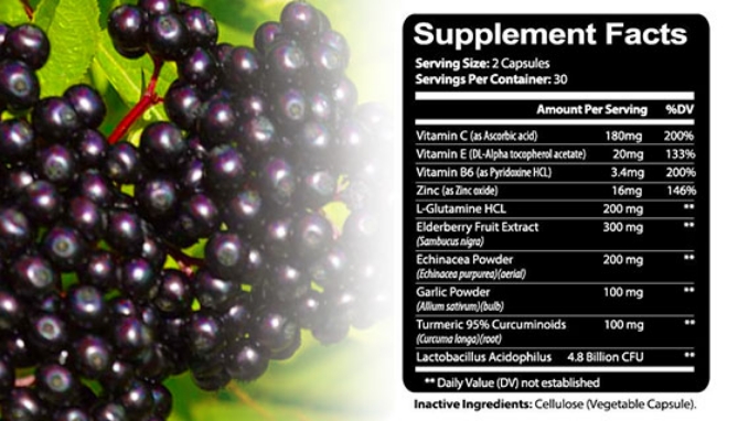 Picture 3 of Emergency Immune Support Booster w/ Elderberry, Zinc, Echinacea, Garlic, Turmeric and more...