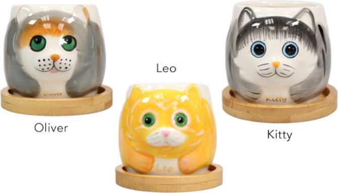 Picture 3 of Ceramic Kitty Pot Planters - Set of SIX