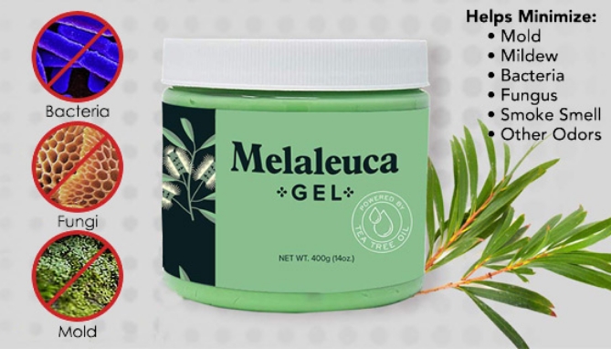 Click to view picture 3 of Safe-Tea Fresh Air Gel w/ Melaleuca (Tea Tree) Oil