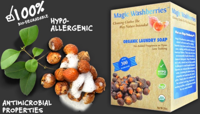 Picture 3 of Magic Washberries - Organic Laundry Soap and more