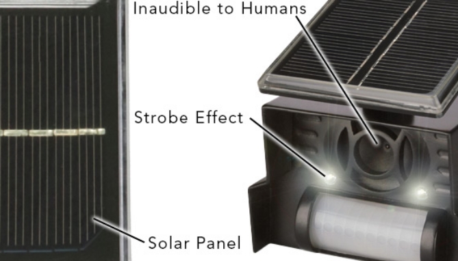 Picture 3 of Sol-Mate Solar Powered Animal Chaser