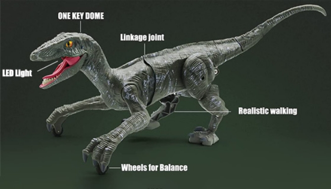 Picture 7 of Walking RC Velociraptor Dinosaur with Sound and Light