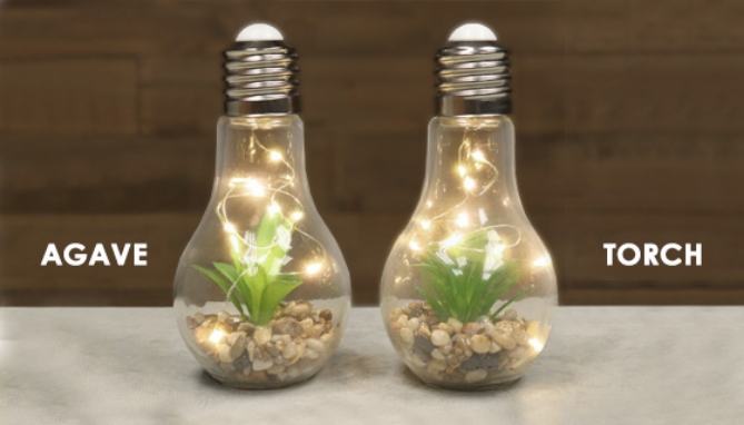 Click to view picture 6 of Light-up Terrarium Glass Light Bulbs - Set of 2