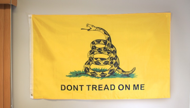 Picture 3 of Authentic 18th Century Replica of the Don't Tread On Me Flag (Gadsden Flag)