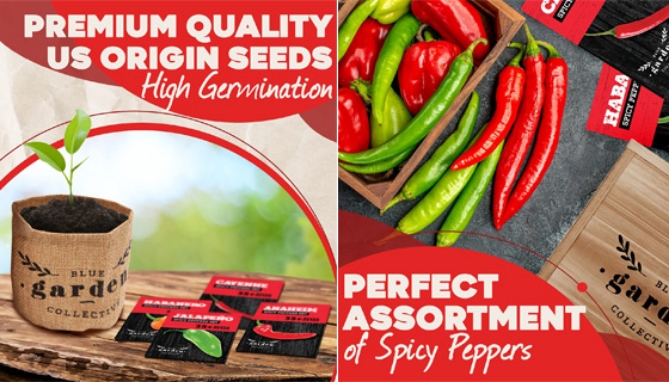 Picture 3 of Spicy  Non-GMO Pepper Seed Starter Kit -  Everything You Need Is Included!