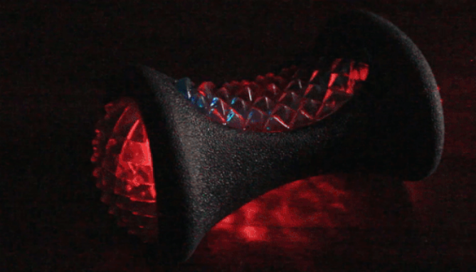 Picture 4 of LED Flashing Dog Bone