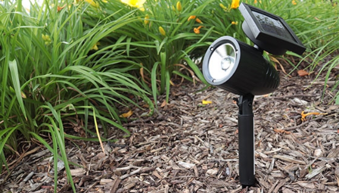 Picture 5 of Adjustable Focus Solar Garden Spotlight - Wireless and Waterproof