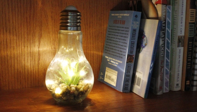Click to view picture 7 of Light-up Terrarium Glass Light Bulbs - Set of 2