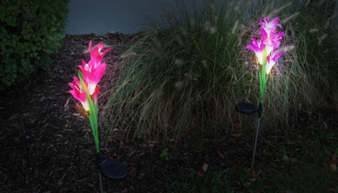 Picture 4 of Set of 2 Solar Powered, Color Changing Lily Flower Stake Lights