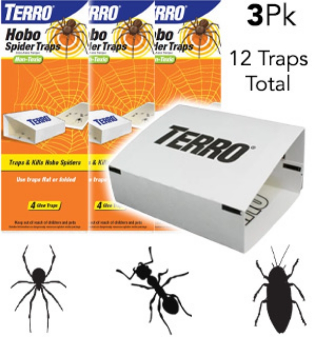 Picture 1 of TERRO Spider Glue Traps 3-Pack