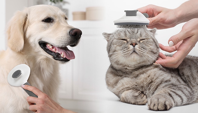 Picture 2 of Self-Cleaning Pet Brush