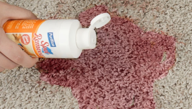 Picture 2 of Purifize Spot and Stain Remover