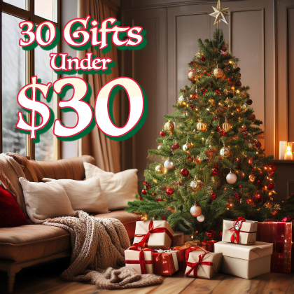 30 Gifts Under $30