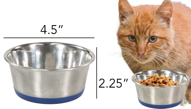 Picture 2 of 10 oz Stainless Steel Pet Bowl With Non-Slip Rubber Base